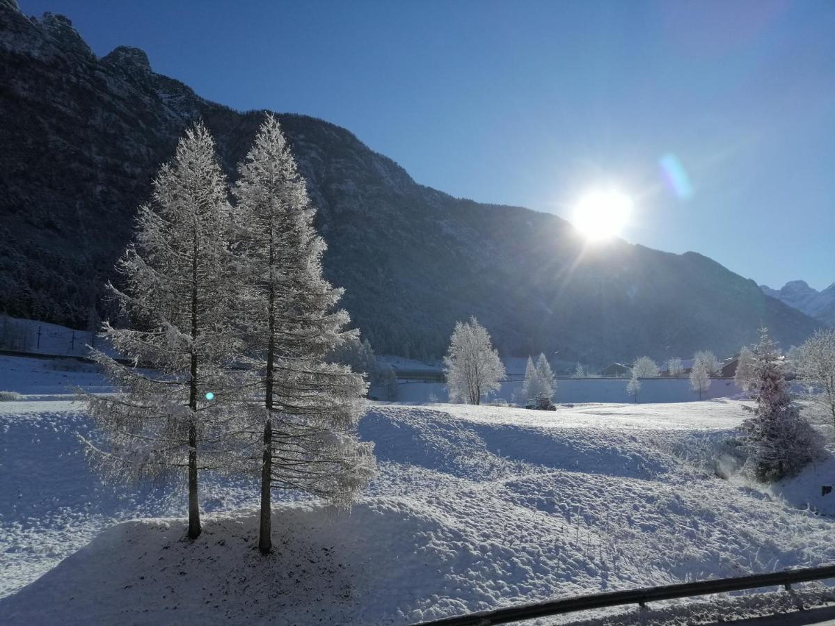 Ai Larici Hotel Perarolo di Cadore Bagian luar foto